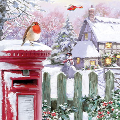 Helicopter and the postbox robin card design 